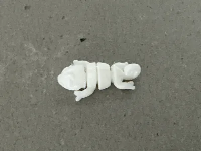 https://makerworld.bblmw.com/makerworld/model/1188819/1200265/ratings/4799db60-e9c5-11f0-a791-a5f694bd76c5.jpg