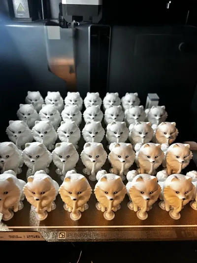 https://makerworld.bblmw.com/makerworld/model/1189025/1200497/ratings/fccc7290-20b2-11f0-9794-eb2fc7a90e66.jpg