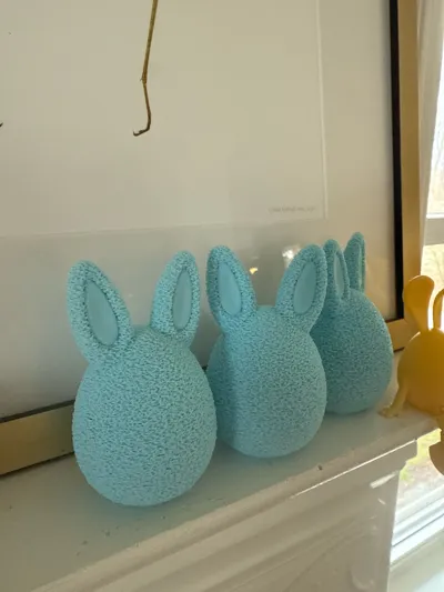 https://makerworld.bblmw.com/makerworld/model/1189371/1200944/ratings/590adf80-0ffe-11f0-a59b-3561773a29b0.jpg