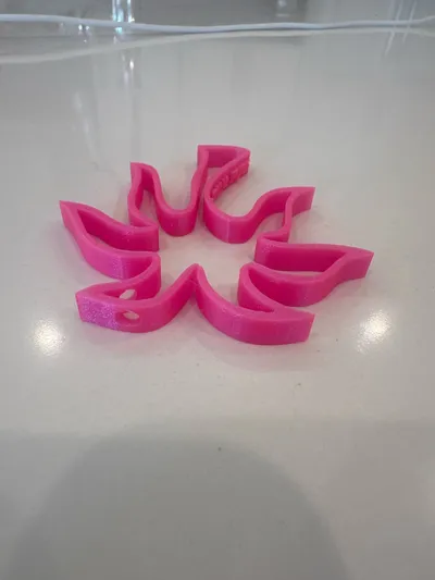 https://makerworld.bblmw.com/makerworld/model/1189679/1201288/ratings/4fb10d10-7395-11f0-b80b-3fc1ed69693e.jpg