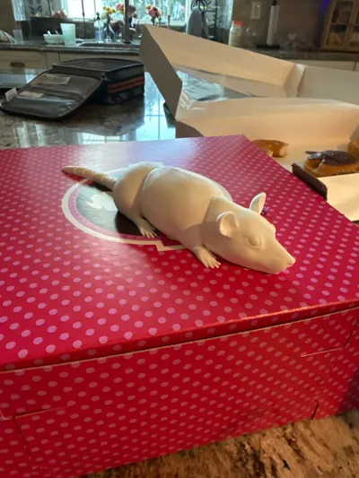 https://makerworld.bblmw.com/makerworld/model/1189784/1556310/ratings/38e61ef0-7e89-11f0-9748-61c4a2a207e3.jpg