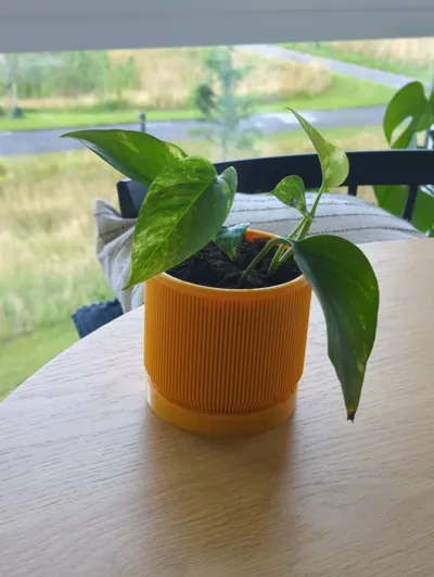 https://makerworld.bblmw.com/makerworld/model/1190761/1237705/ratings/a4446ce0-689c-11f0-b72f-73ae0436126a.jpg