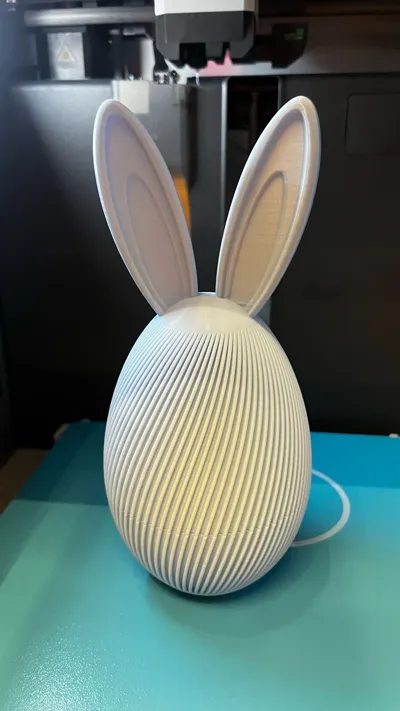 https://makerworld.bblmw.com/makerworld/model/1191021/1202763/ratings/59d606d0-1524-11f0-9865-23c37e71e0c0.jpg