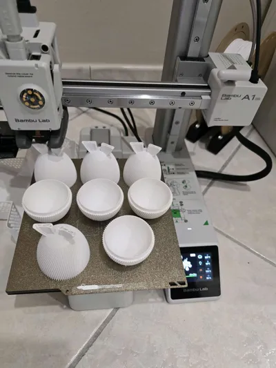 https://makerworld.bblmw.com/makerworld/model/1191021/1202763/ratings/d6043f80-203a-11f0-a010-9390dce5f070.jpg