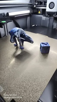 https://makerworld.bblmw.com/makerworld/model/1191025/1202767/ratings/b5af7b70-0814-11f0-bdf2-0b857009365e.jpg