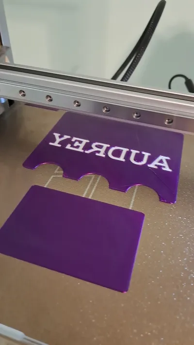 https://makerworld.bblmw.com/makerworld/model/1191476/1203328/ratings/ea85f6f0-b465-11f0-ae5e-6fe6c61b2345.jpg