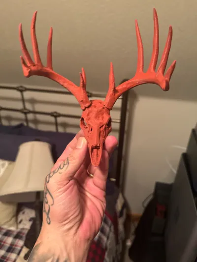 https://makerworld.bblmw.com/makerworld/model/1192291/1204271/ratings/83f796f0-595c-11f0-af8b-e3014b63dda5.jpg