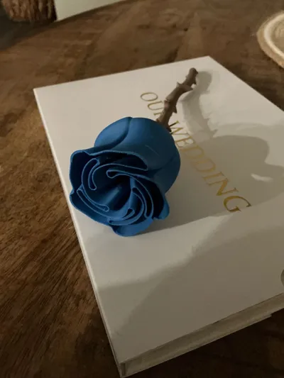 https://makerworld.bblmw.com/makerworld/model/1192841/1260391/ratings/0e81f3c0-1442-11f0-9505-15eb53d71dc4.jpg