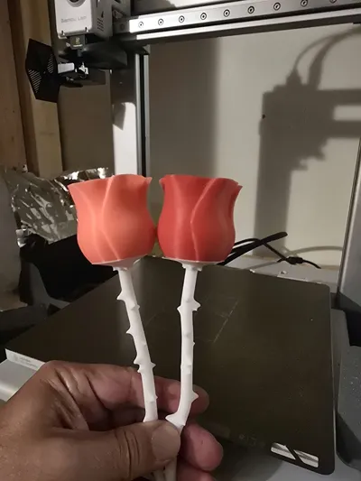 https://makerworld.bblmw.com/makerworld/model/1192841/1260391/ratings/17b8cb50-6067-11f0-b572-ff1dde65c6fb.jpg