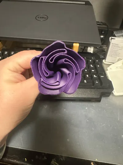 https://makerworld.bblmw.com/makerworld/model/1192841/1260391/ratings/3b9723b0-4fae-11f0-a618-d1ae963c11ab.jpg