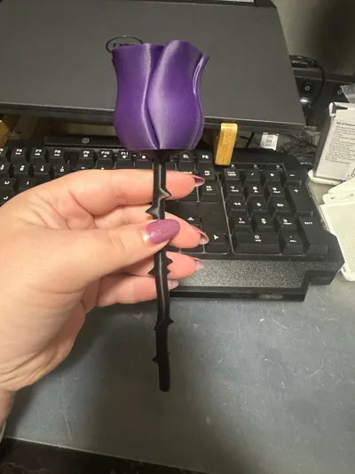https://makerworld.bblmw.com/makerworld/model/1192841/1260391/ratings/3b985c30-4fae-11f0-a618-d1ae963c11ab.jpg