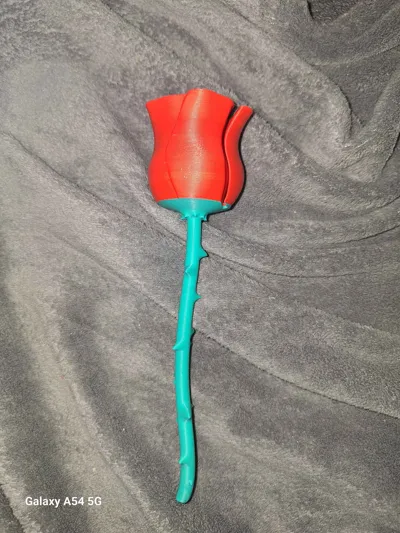 https://makerworld.bblmw.com/makerworld/model/1192841/1260391/ratings/5845ca90-6bef-11f0-9169-dd40aa227ea0.jpg