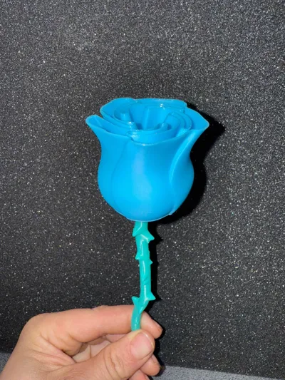 https://makerworld.bblmw.com/makerworld/model/1192841/1260391/ratings/66fdfb10-6ad3-11f0-80e6-2d5d03a5279e.jpg