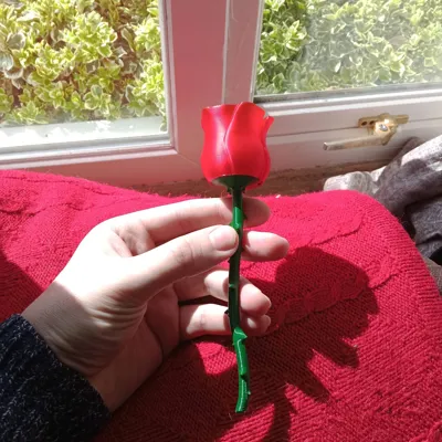 https://makerworld.bblmw.com/makerworld/model/1192841/1260391/ratings/8fa43c70-0d52-11f0-b6c9-25390dedc52f.jpg