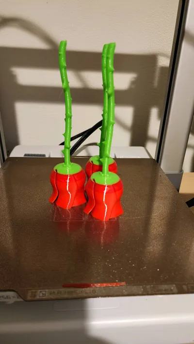 https://makerworld.bblmw.com/makerworld/model/1192841/1260391/ratings/b47ad690-8227-11f0-988f-b3a0cebb7d84.jpg