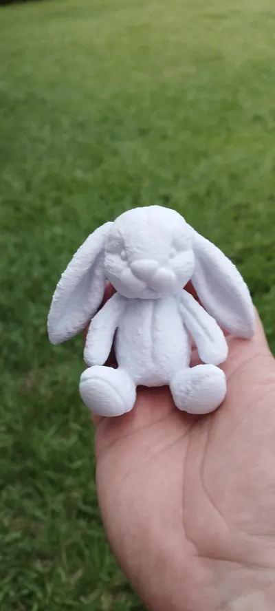 https://makerworld.bblmw.com/makerworld/model/1193281/1205444/ratings/24d0fa70-07f6-11f0-95e9-0147ac21a978.jpg