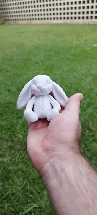 https://makerworld.bblmw.com/makerworld/model/1193281/1205444/ratings/24d20be0-07f6-11f0-95e9-0147ac21a978.jpg