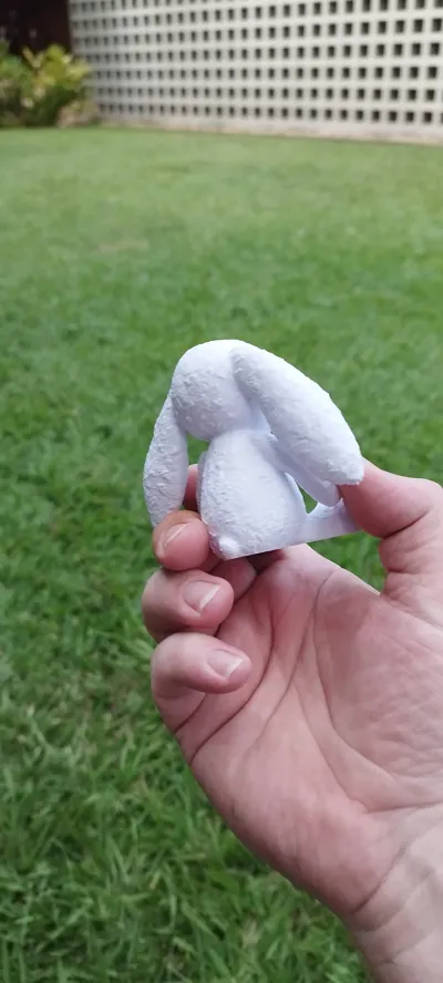 https://makerworld.bblmw.com/makerworld/model/1193281/1205444/ratings/24d2f640-07f6-11f0-95e9-0147ac21a978.jpg