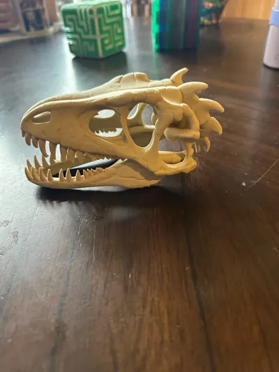 https://makerworld.bblmw.com/makerworld/model/1193622/1208566/ratings/197d2770-1c96-11f0-8237-3b81ce2669b0.jpg