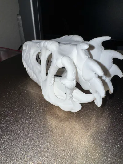 https://makerworld.bblmw.com/makerworld/model/1193622/1208566/ratings/630c63d0-e50c-11f0-b712-5d0d09d95d78.jpg