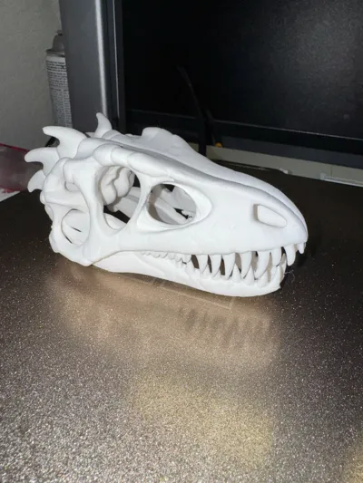 https://makerworld.bblmw.com/makerworld/model/1193622/1208566/ratings/630d0010-e50c-11f0-b712-5d0d09d95d78.jpg
