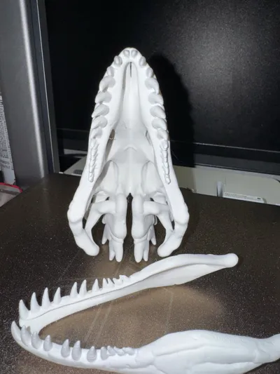 https://makerworld.bblmw.com/makerworld/model/1193622/1208566/ratings/630d2720-e50c-11f0-b712-5d0d09d95d78.jpg