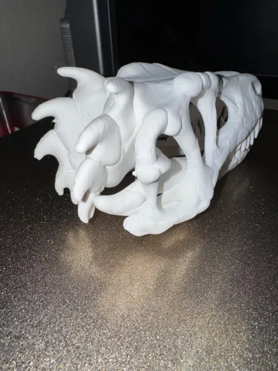 https://makerworld.bblmw.com/makerworld/model/1193622/1208566/ratings/63285040-e50c-11f0-b712-5d0d09d95d78.jpg