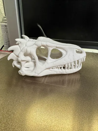 https://makerworld.bblmw.com/makerworld/model/1193622/1208566/ratings/63401e00-e50c-11f0-b712-5d0d09d95d78.jpg