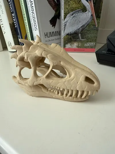 https://makerworld.bblmw.com/makerworld/model/1193622/1208566/ratings/69d574f0-1a09-11f0-8bc5-75682b09ab91.jpg