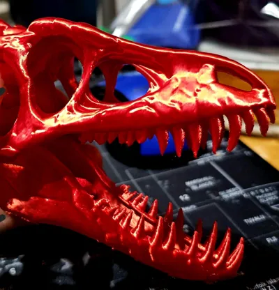 https://makerworld.bblmw.com/makerworld/model/1193622/1427962/ratings/e00078a0-86e7-11f0-890c-1db462a4ba2a.jpg