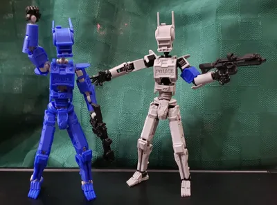https://makerworld.bblmw.com/makerworld/model/1193983/1206292/ratings/2ffdb5c0-e8e0-11f0-a24c-e58f33aa7499.jpg