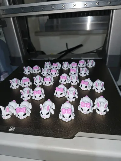 https://makerworld.bblmw.com/makerworld/model/1195230/1207798/ratings/819ce540-2166-11f1-936e-259b5387f2d9.jpg