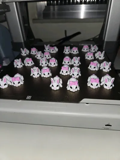 https://makerworld.bblmw.com/makerworld/model/1195230/1207811/ratings/b0b79c80-2166-11f1-936e-259b5387f2d9.jpg