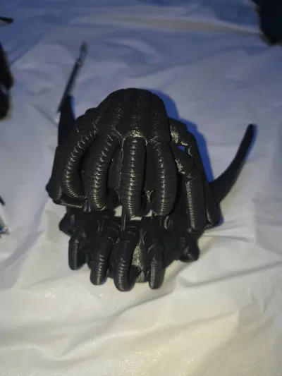 https://makerworld.bblmw.com/makerworld/model/1196904/1209664/ratings/183e8e10-532a-11f0-ac3d-6b5576360713.jpg