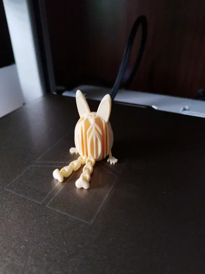 https://makerworld.bblmw.com/makerworld/model/1197436/1210279/ratings/59bbbb30-169c-11f0-a11c-0dd175a64c47.jpg