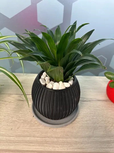https://makerworld.bblmw.com/makerworld/model/1197726/1210609/ratings/9f73d700-6865-11f0-bdc7-5bd9f04039a2.jpg