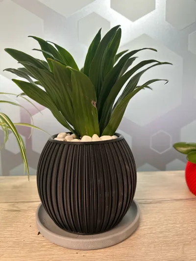 https://makerworld.bblmw.com/makerworld/model/1197726/1210609/ratings/9f73d701-6865-11f0-bdc7-5bd9f04039a2.jpg