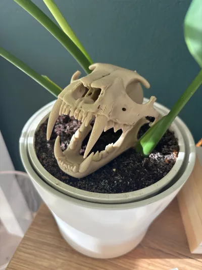 https://makerworld.bblmw.com/makerworld/model/1198488/1211450/ratings/92dd9ce0-84f0-11f0-9392-21f671e1d629.jpg