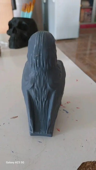https://makerworld.bblmw.com/makerworld/model/1198846/1211814/ratings/4dc86e50-150b-11f0-95e5-d943a869b6cb.jpg