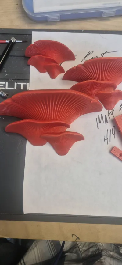 https://makerworld.bblmw.com/makerworld/model/119919/324953/ratings/018636a0-f294-11f0-b072-c7026884b5a0.jpg