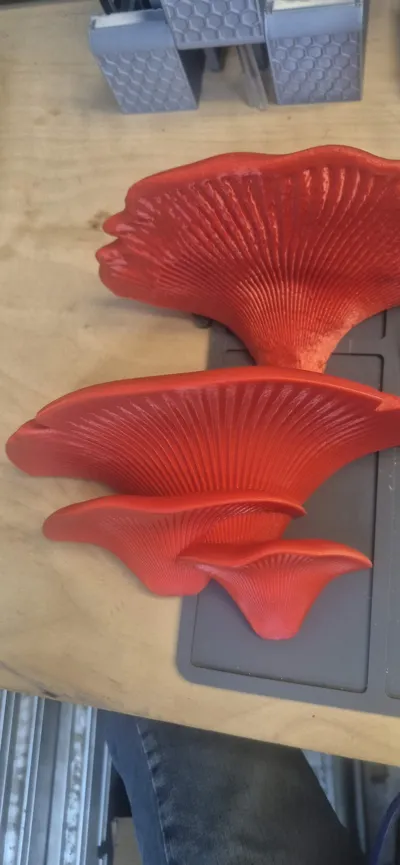 https://makerworld.bblmw.com/makerworld/model/119919/324953/ratings/01910c10-f294-11f0-b072-c7026884b5a0.jpg
