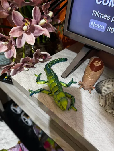 https://makerworld.bblmw.com/makerworld/model/1199327/1212378/ratings/3c77d900-6a84-11f0-84b2-65207aa9ba90.jpg