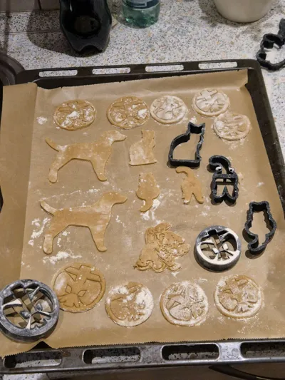 https://makerworld.bblmw.com/makerworld/model/1199828/1212817/ratings/fbfbe9f0-d49d-11f0-90a5-533c01bd66b6.jpg