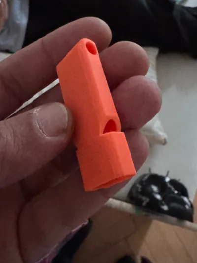 https://makerworld.bblmw.com/makerworld/model/119995/129132/ratings/e631fde0-a6b6-11f0-9e39-199e1356684c.jpg