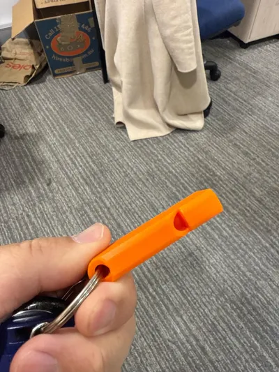 https://makerworld.bblmw.com/makerworld/model/119995/441971/ratings/0bc4d430-77da-11f0-83a7-d3356beb893a.jpg
