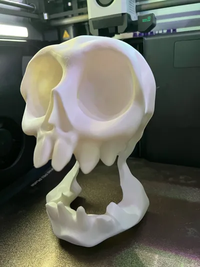 https://makerworld.bblmw.com/makerworld/model/1200030/1213050/ratings/cc352b00-632d-11f0-9e03-fd2fe0eecc4b.jpg