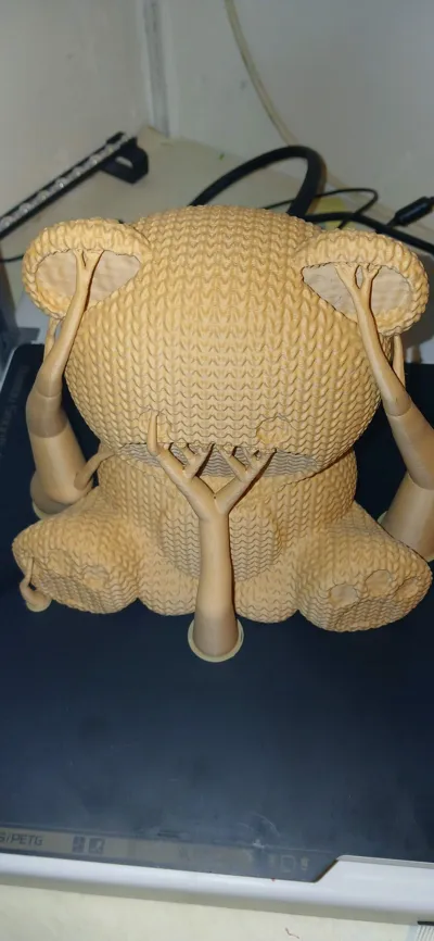 https://makerworld.bblmw.com/makerworld/model/1201014/1213979/ratings/e4eff340-f51e-11f0-831f-b540cedfea72.jpg