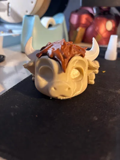 https://makerworld.bblmw.com/makerworld/model/1201466/1214505/ratings/fe4c47e0-2f70-11f0-8186-87b4886cb06d.jpg