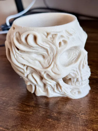 https://makerworld.bblmw.com/makerworld/model/1202378/1215578/ratings/136ceca0-0afb-11f0-b725-43296ddca790.jpg
