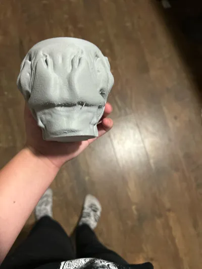 https://makerworld.bblmw.com/makerworld/model/1202378/1215578/ratings/70748e80-c1df-11f0-bbaf-7fd954093e38.jpg